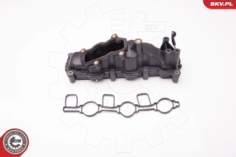 Intake Manifold Module